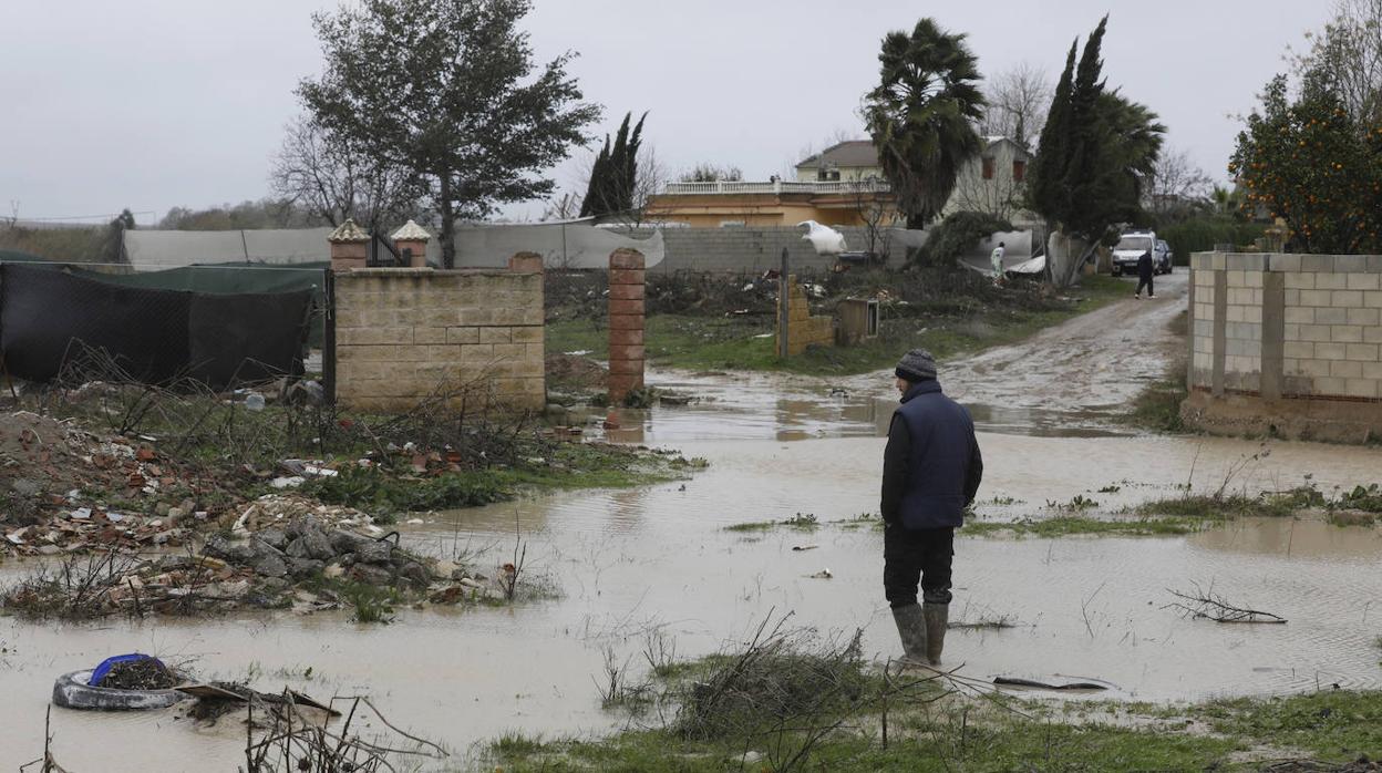 El paso de la borrasca Elsa por las parcelas del río en Córdoba, en imágenes