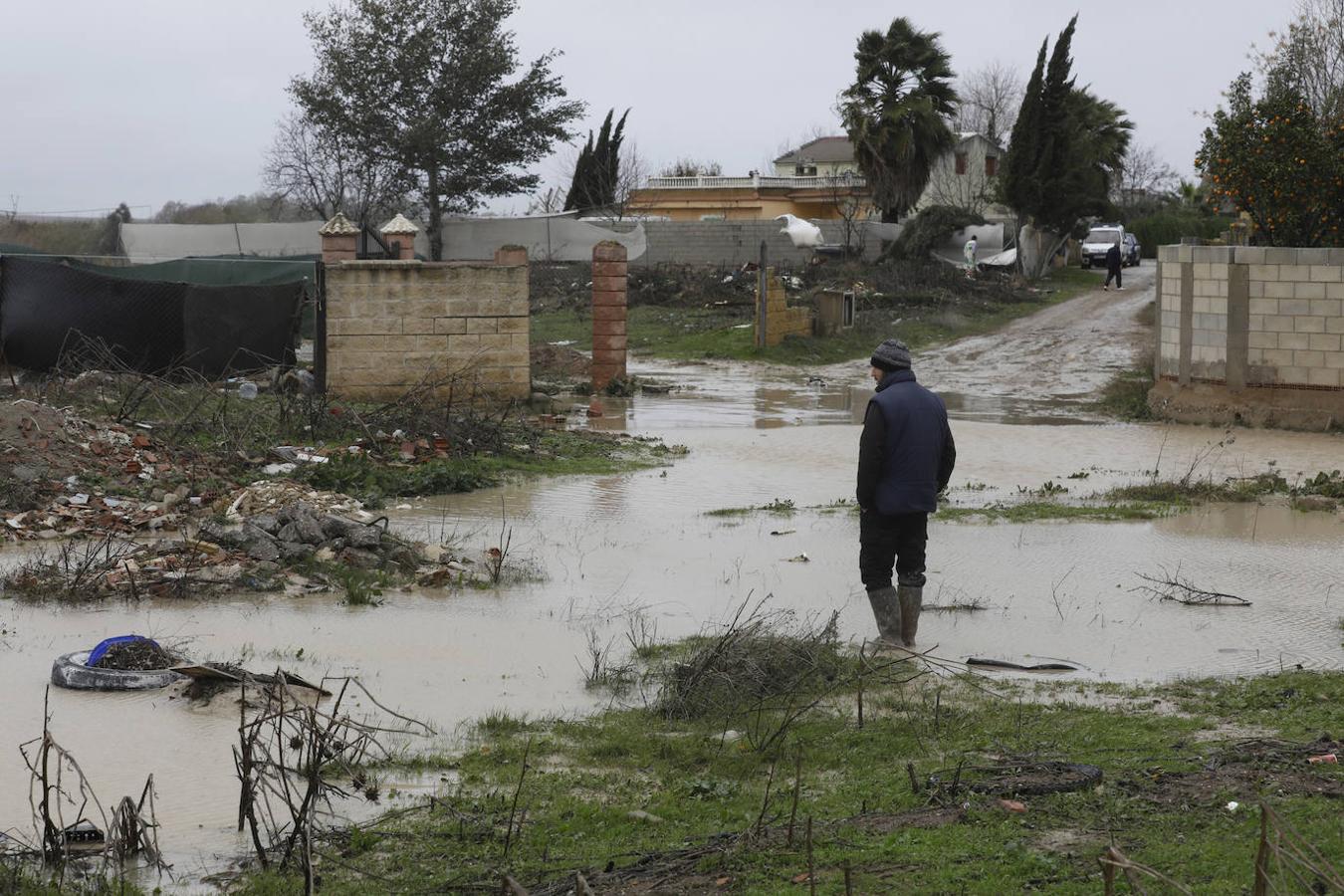 El paso de la borrasca Elsa por las parcelas del río en Córdoba, en imágenes