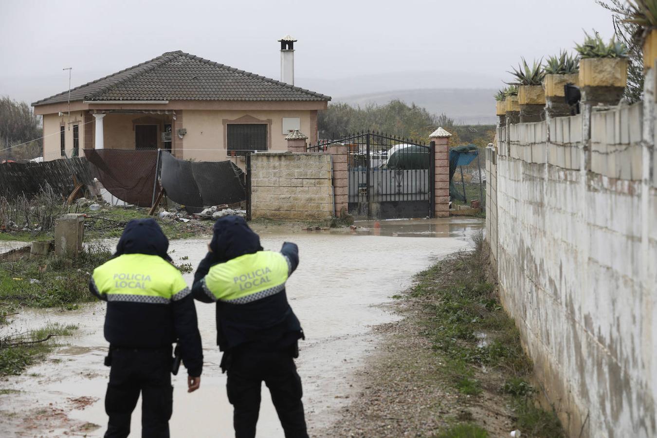 El paso de la borrasca Elsa por las parcelas del río en Córdoba, en imágenes