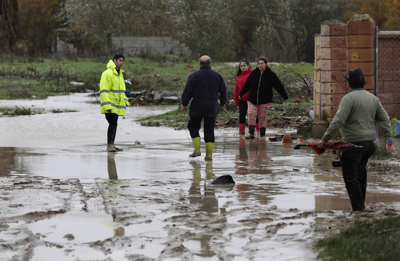 El paso de la borrasca Elsa por las parcelas del río en Córdoba, en imágenes