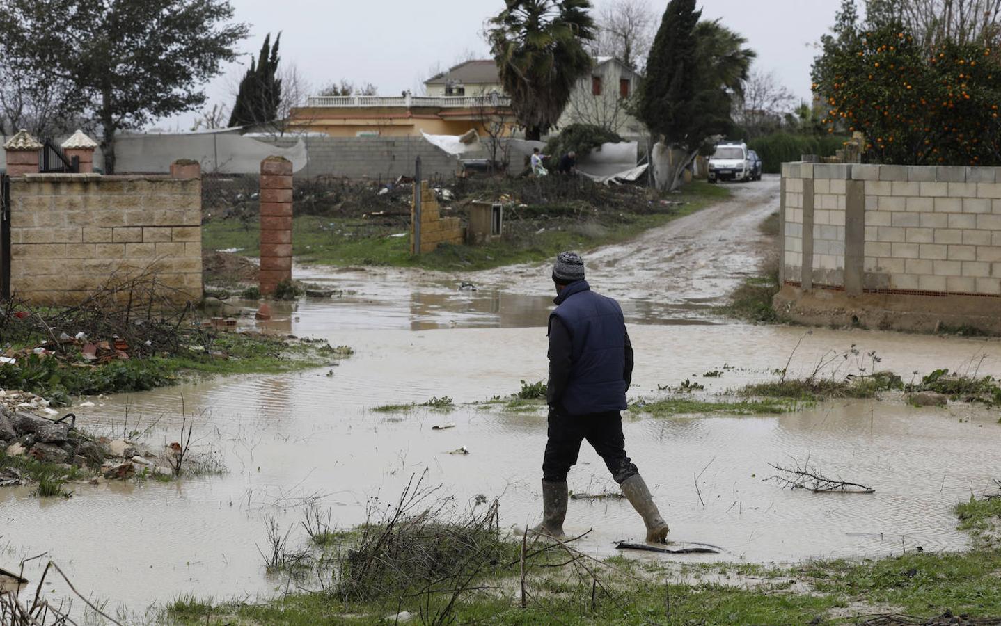 El paso de la borrasca Elsa por las parcelas del río en Córdoba, en imágenes