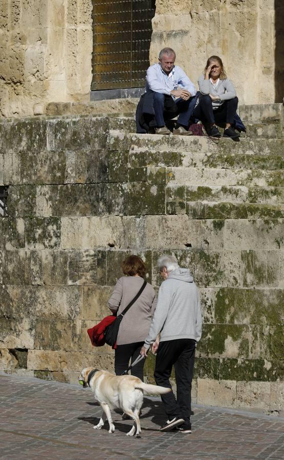 En imágenes, un soleado día de Navidad en Córdoba