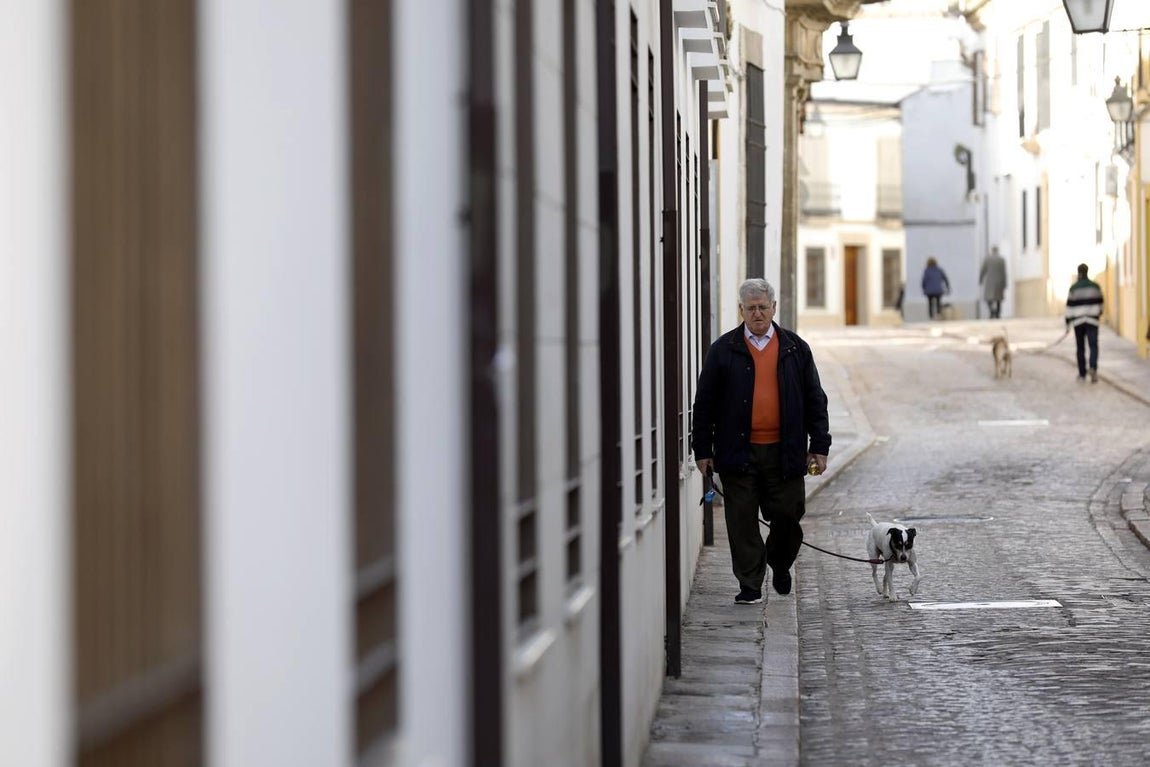 La calle Muñices de Córdoba, en imágenes