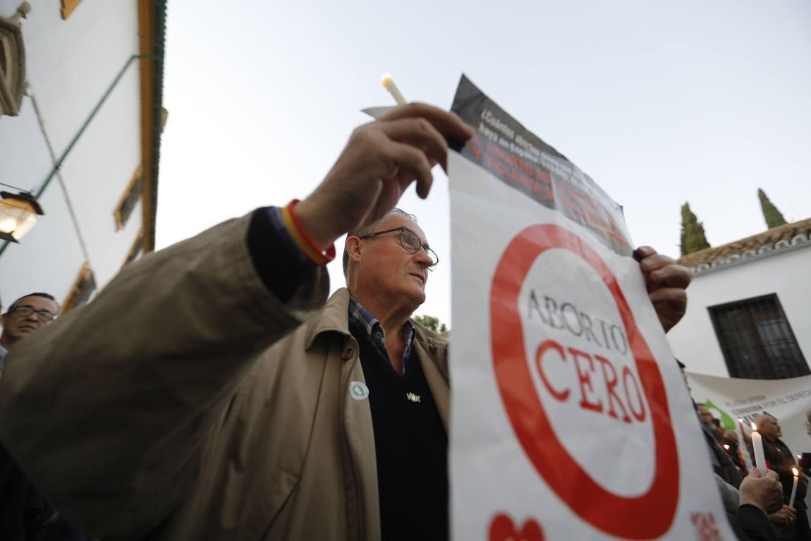 La concentración por la vida en Córdoba, en imágenes
