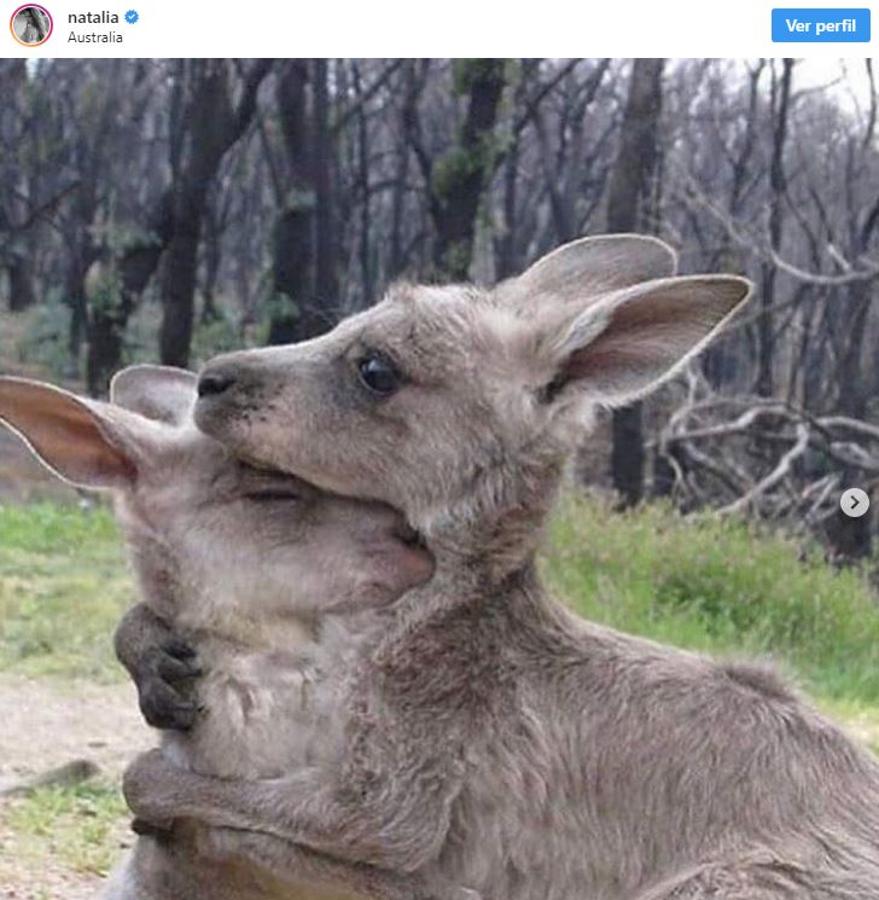 Natalia Barulích. «Hay un incendio en Australia del tamaño de Manhattan" &#55357;&#56468;&#55357;&#56866; En un momento de mi vida, Australia fue como un segundo hogar para mí. Así que la noticia de la devastación de los incendios forestales ha entristecido profundamente mi corazón. Han muerto 500 millones de animales, muchos han perdido sus hogares, muchos están heridos y muchos también han muerto. ¿Cómo podemos unirnos y ayudar en esta situación? Al donar a la Cruz Roja Australiana para ayuda y recuperación a las familias y la comunidad afectadas»