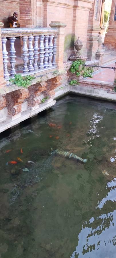 Desperfectos causados por nuevos actos vandálicos en la Plaza de España