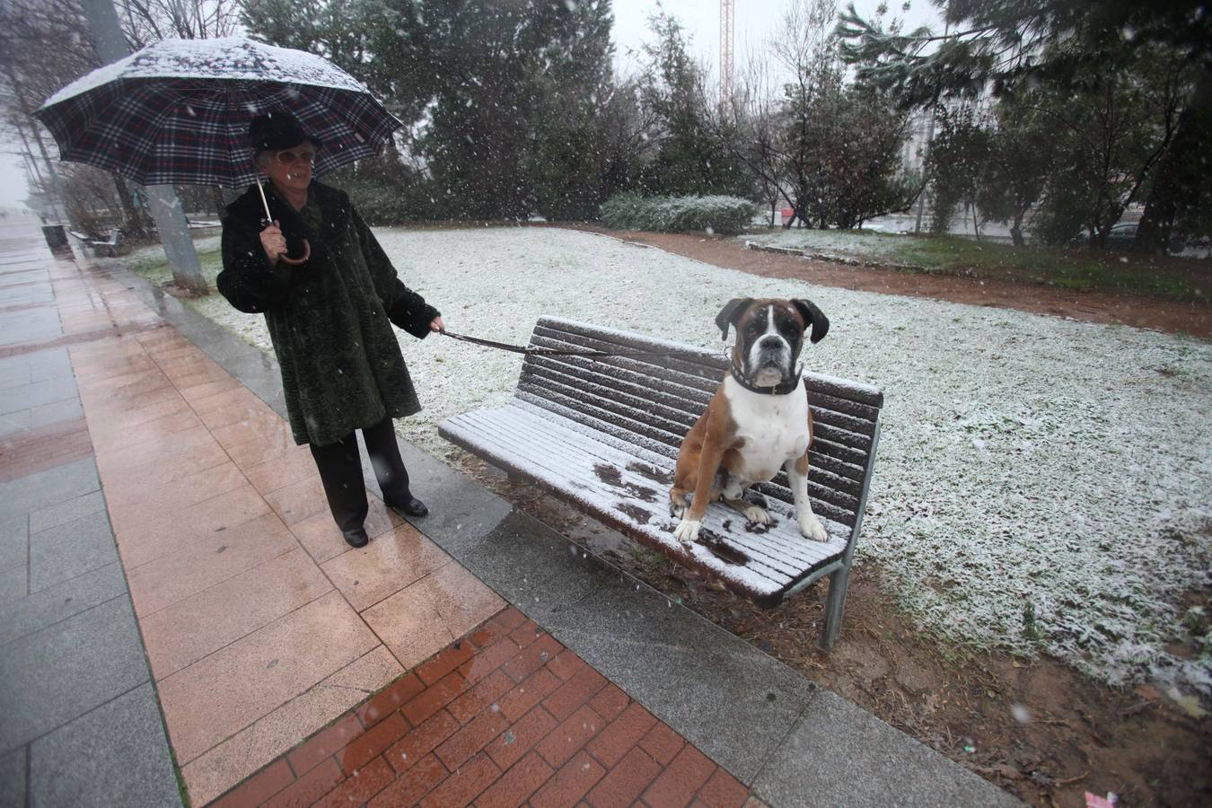 Diez años de la gran nevada de 2010 en Córdoba, en imágenes