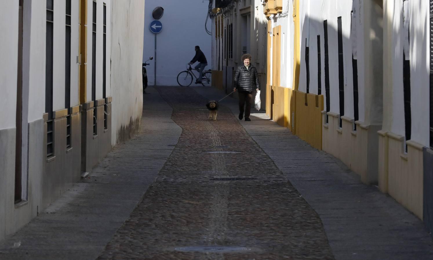 La calle Parras de Córdoba, en imágenes