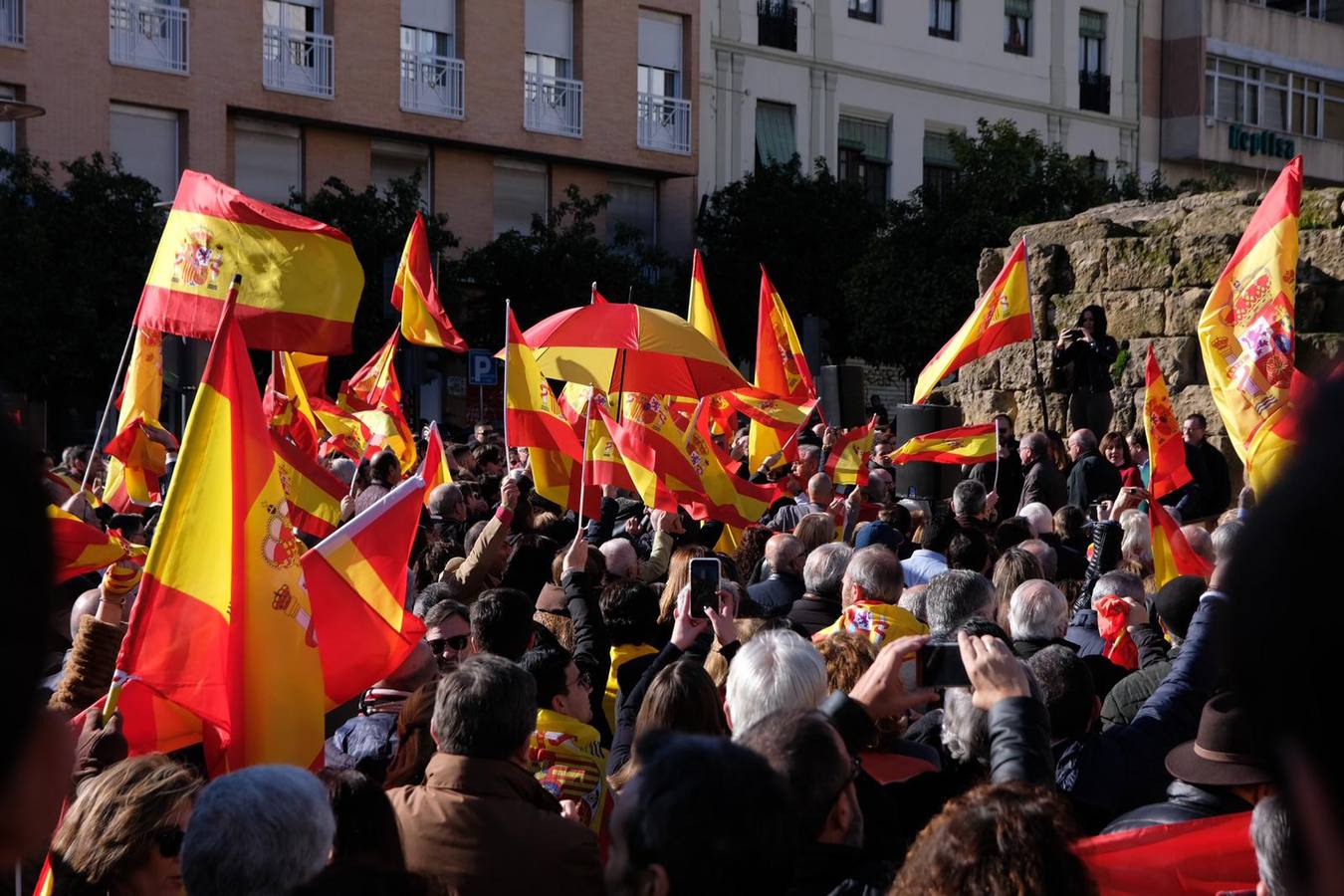 La concentración de VOX en Córdoba, en imágenes