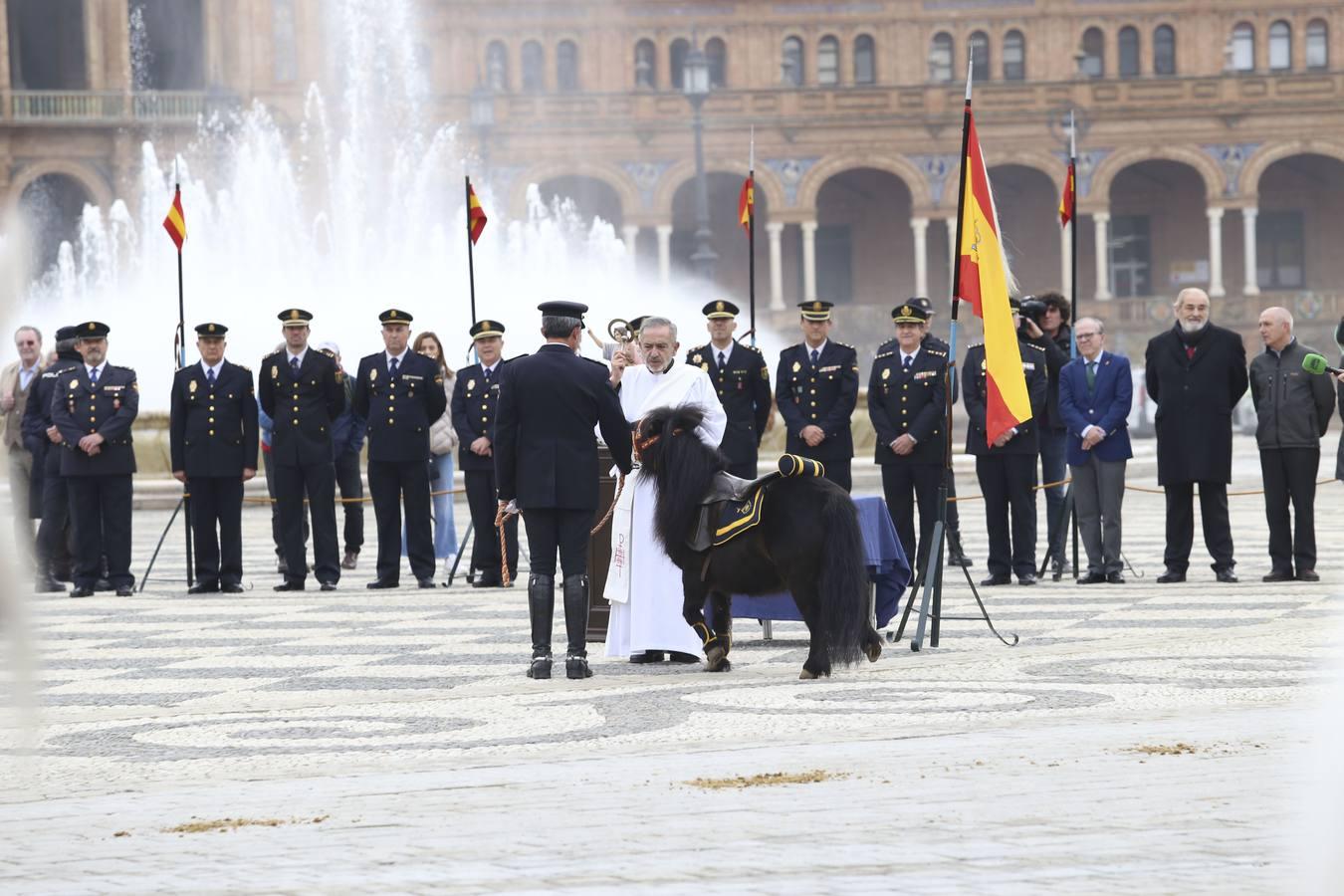 En imágenes, la bendición de San Antón para los caballos de la Policía Nacional