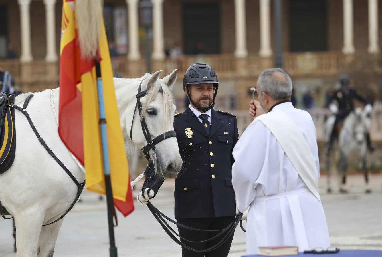 En imágenes, la bendición de San Antón para los caballos de la Policía Nacional