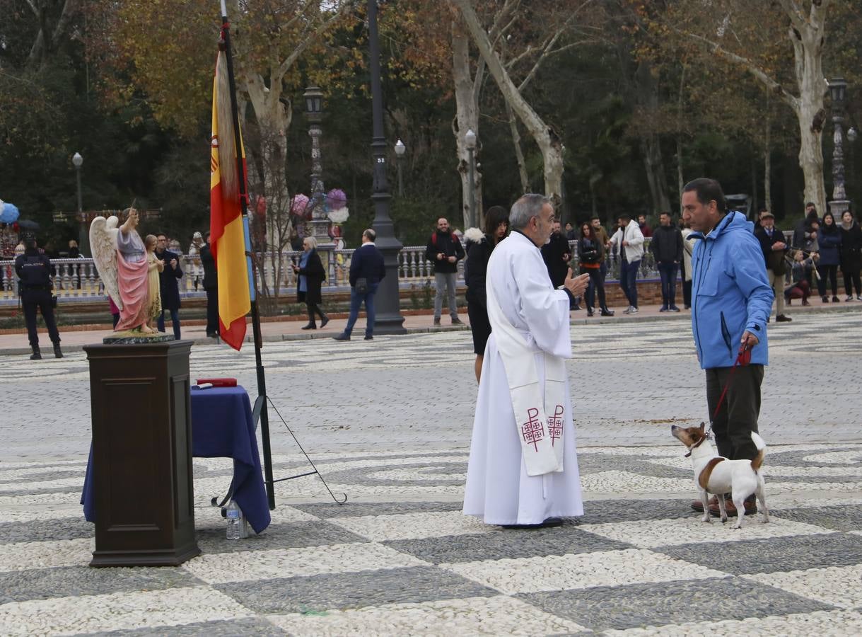 En imágenes, la bendición de San Antón para los caballos de la Policía Nacional