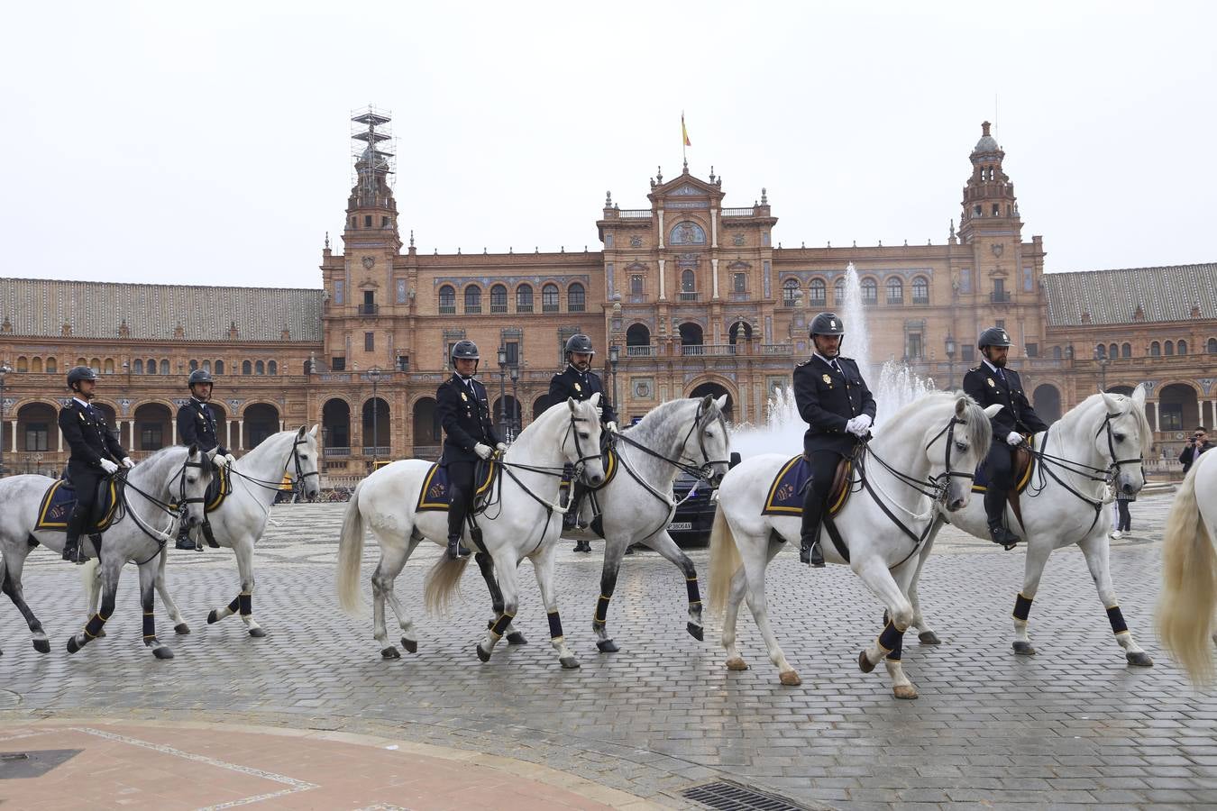 En imágenes, la bendición de San Antón para los caballos de la Policía Nacional