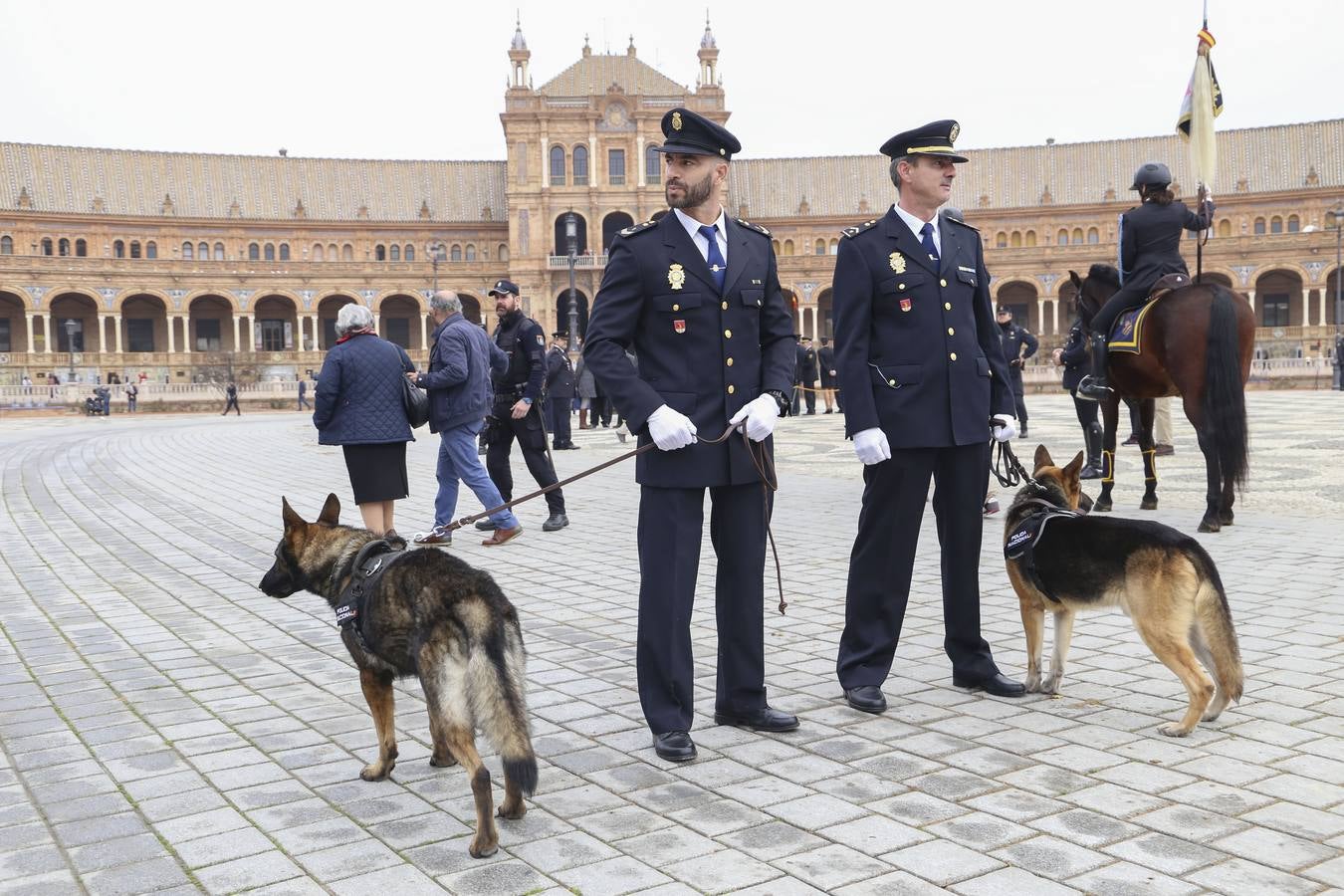 En imágenes, la bendición de San Antón para los caballos de la Policía Nacional