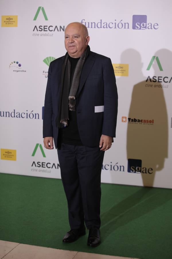 La pasarela de la fiesta del cine andaluz, en imágenes