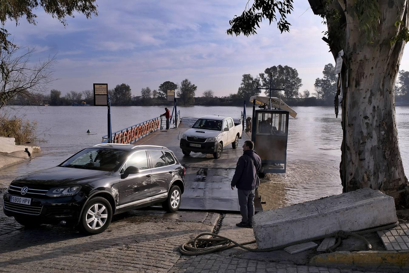 Cruzando el Guadalquivir en la barcaza de Coria