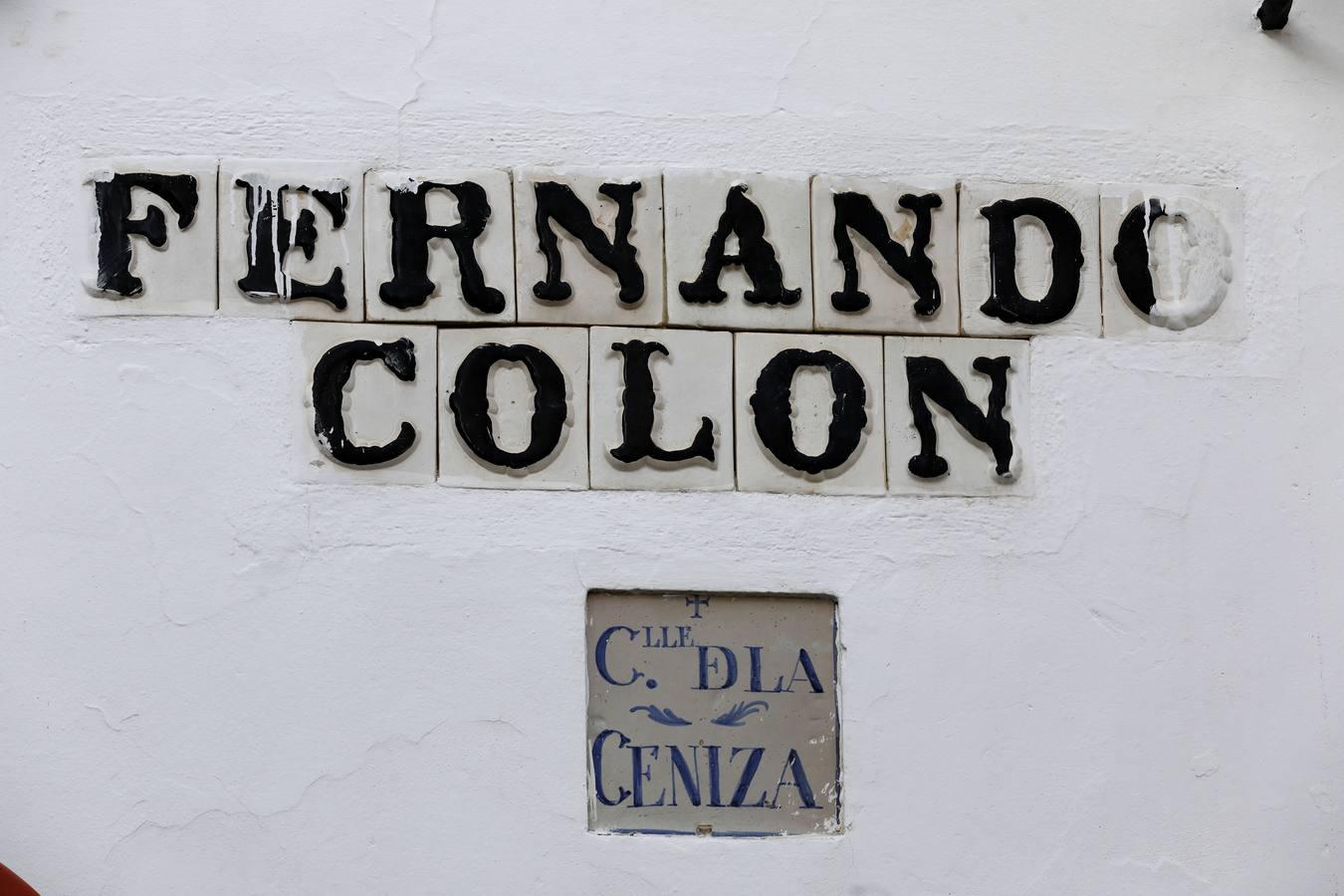 La calle Fernando Colón de Córdoba, en imágenes