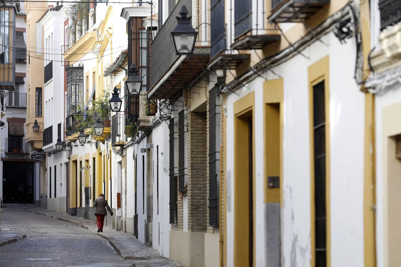 La calle Fernando Colón de Córdoba, en imágenes