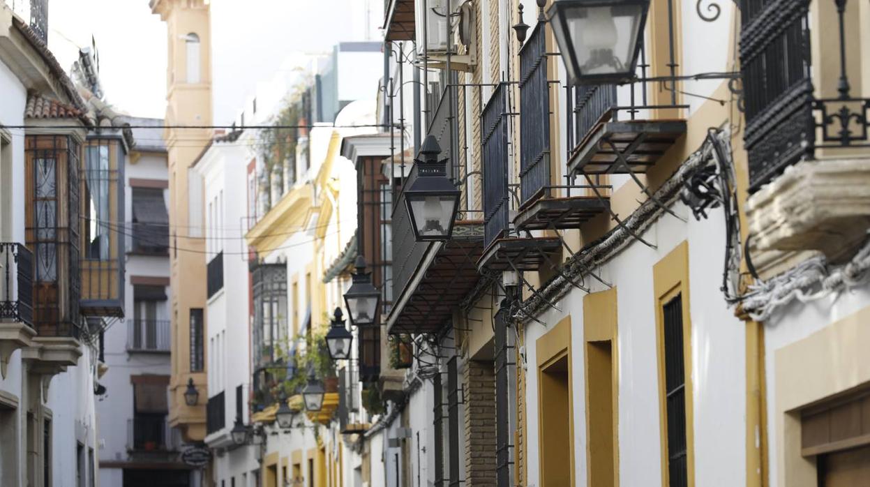 La calle Fernando Colón de Córdoba, en imágenes