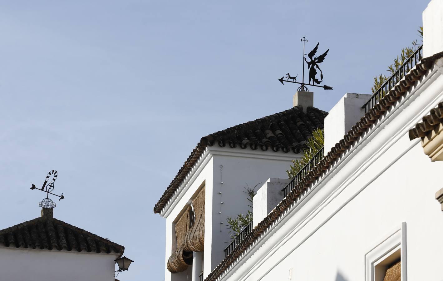 La calle Fernando Colón de Córdoba, en imágenes