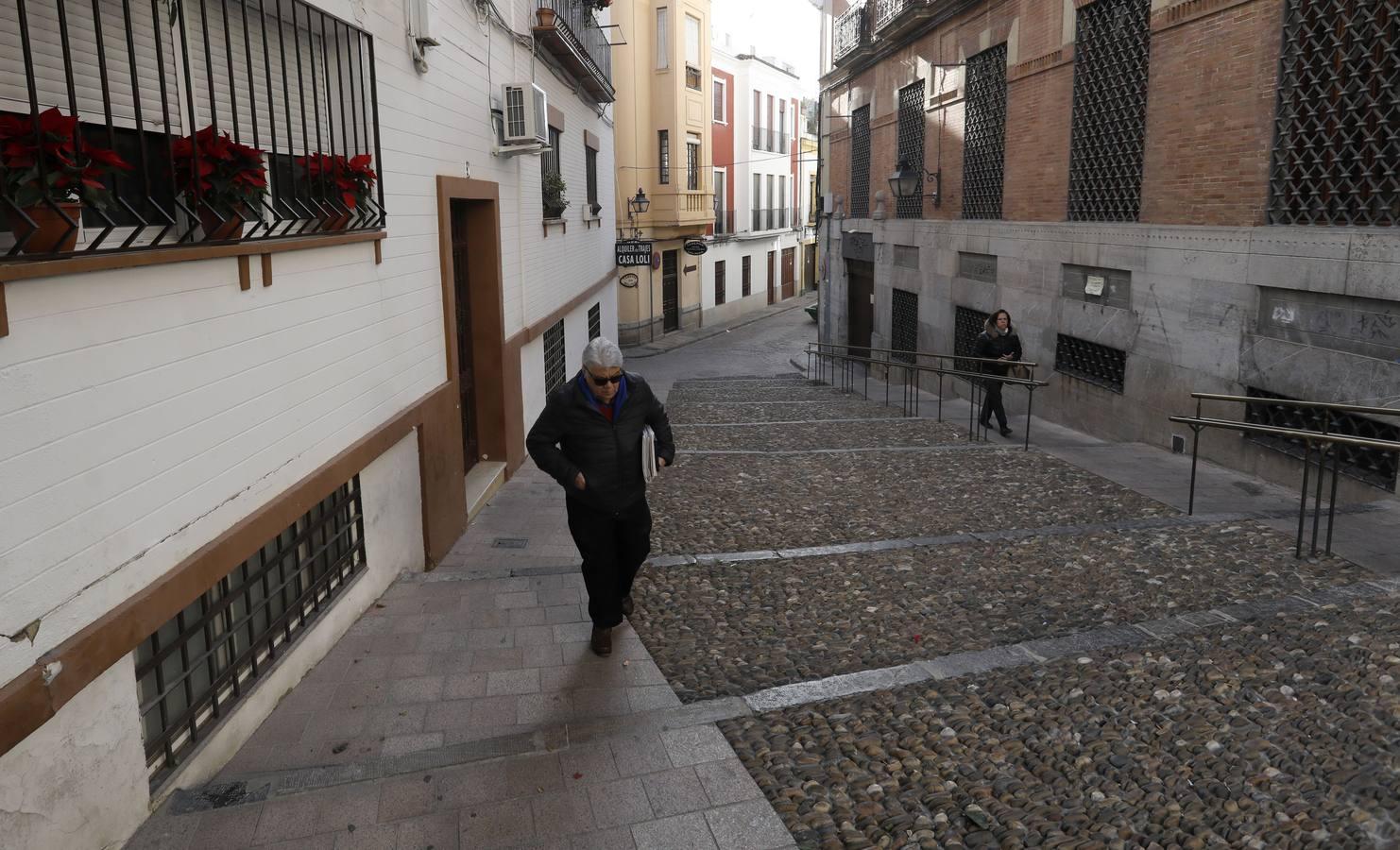 La calle Fernando Colón de Córdoba, en imágenes