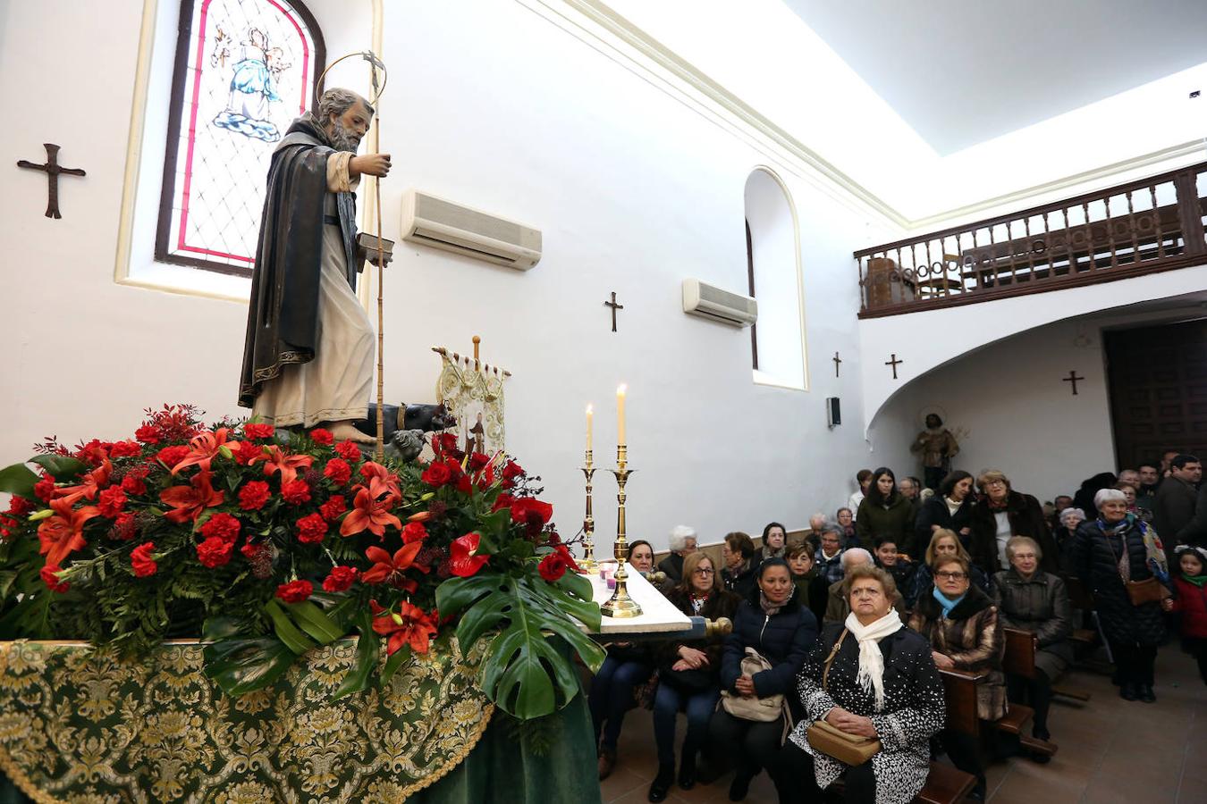 En imágenes: las mascotas de Toledo se rinden a San Antón