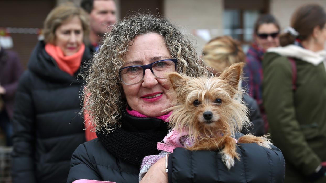 En imágenes: las mascotas de Toledo se rinden a San Antón