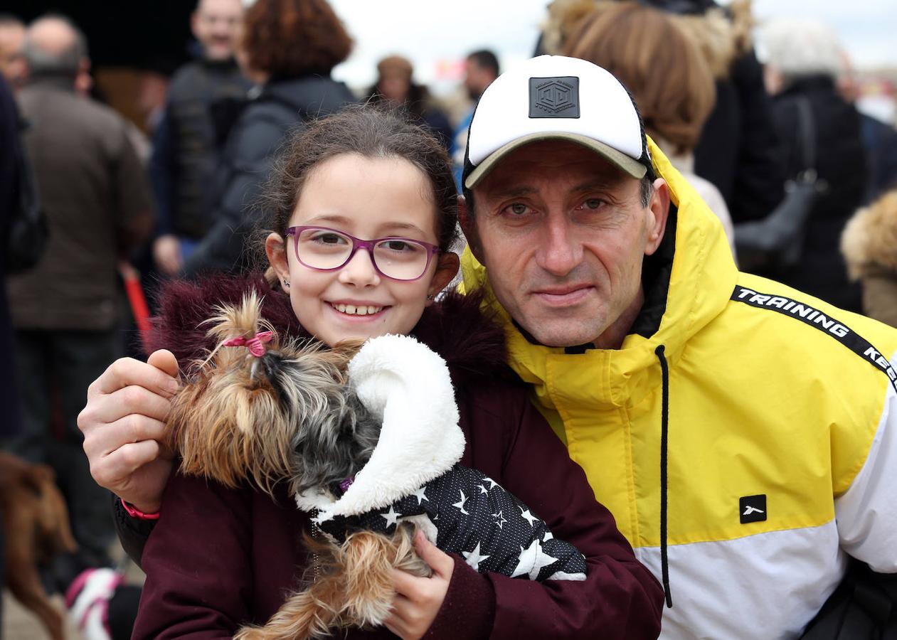 En imágenes: las mascotas de Toledo se rinden a San Antón