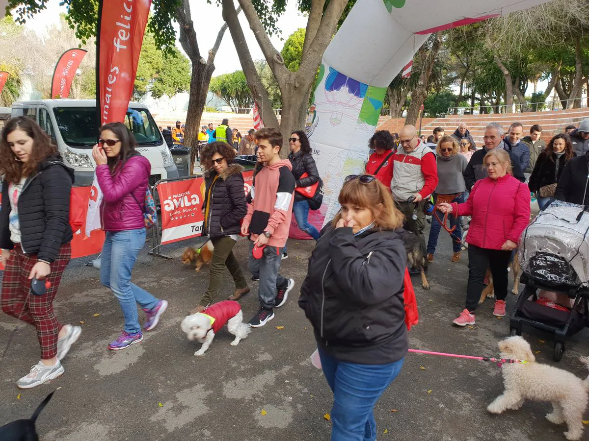 I Marcha solidaria de San Antón en San Fernando