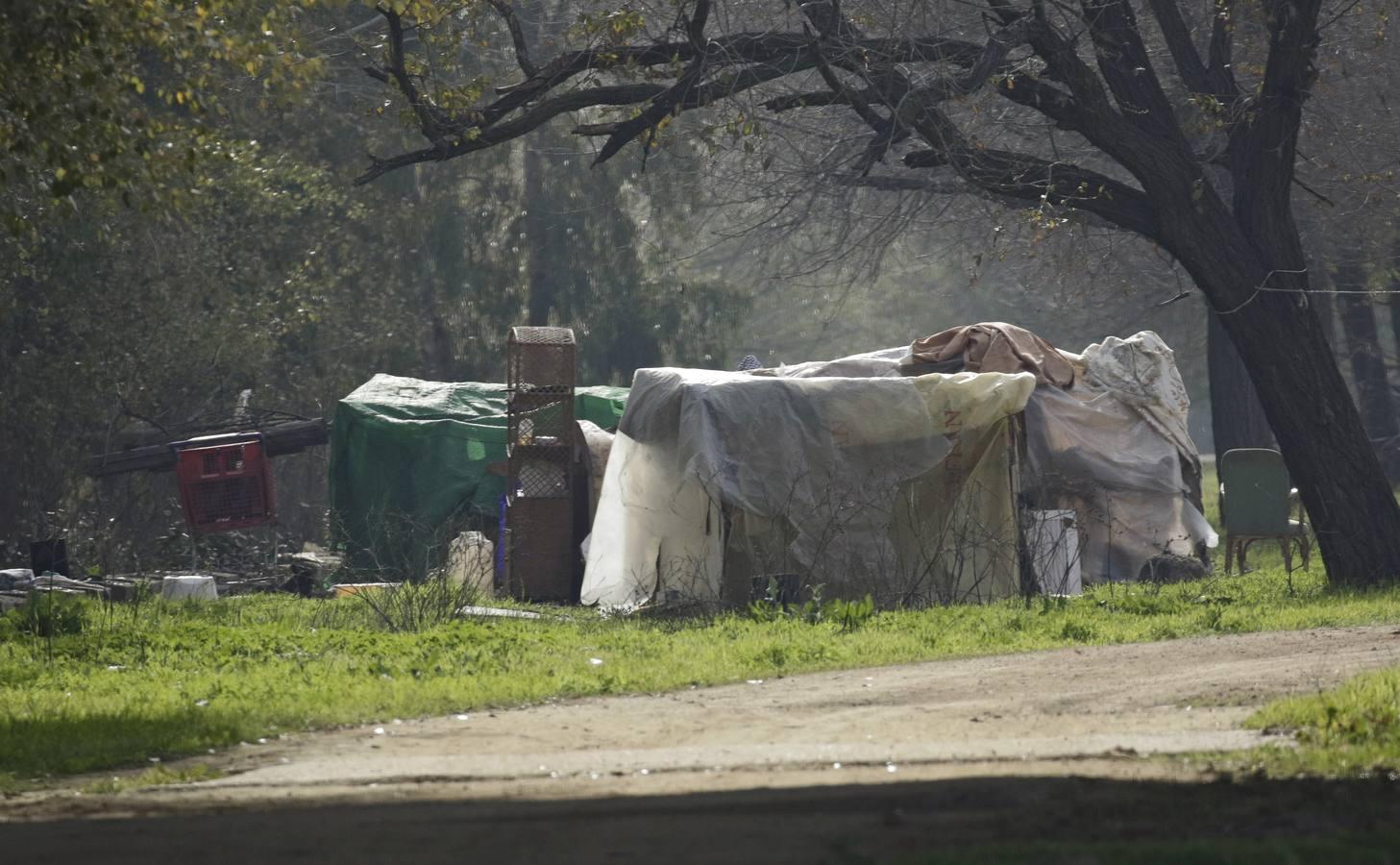 En imágenes: vivir debajo de un puente