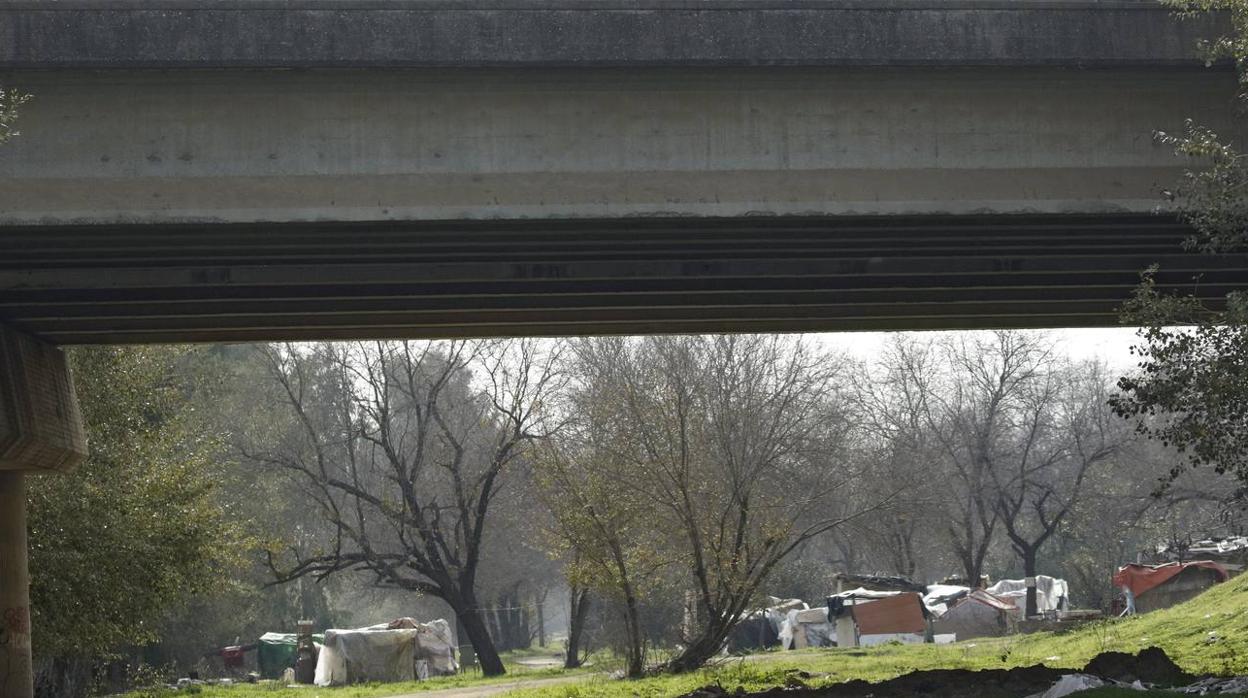 En imágenes: vivir debajo de un puente