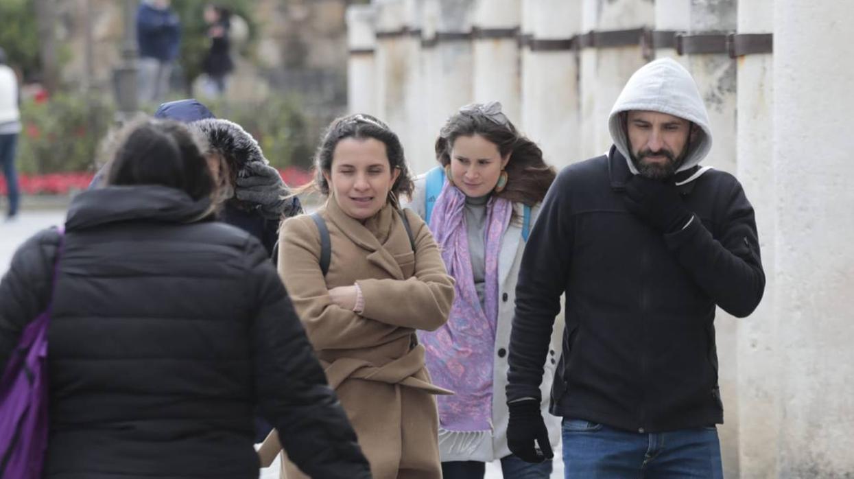 En imágenes, el frío y el viento hace temblar a Sevilla