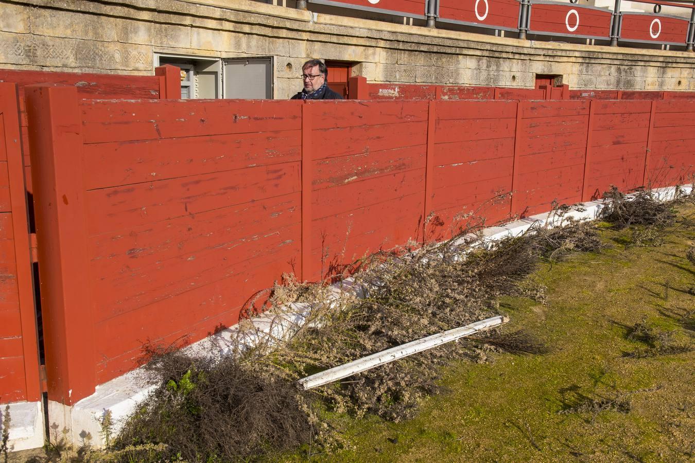 En imágenes, el expolio y el vandalismo arruinan la plaza de toros de Espartinas