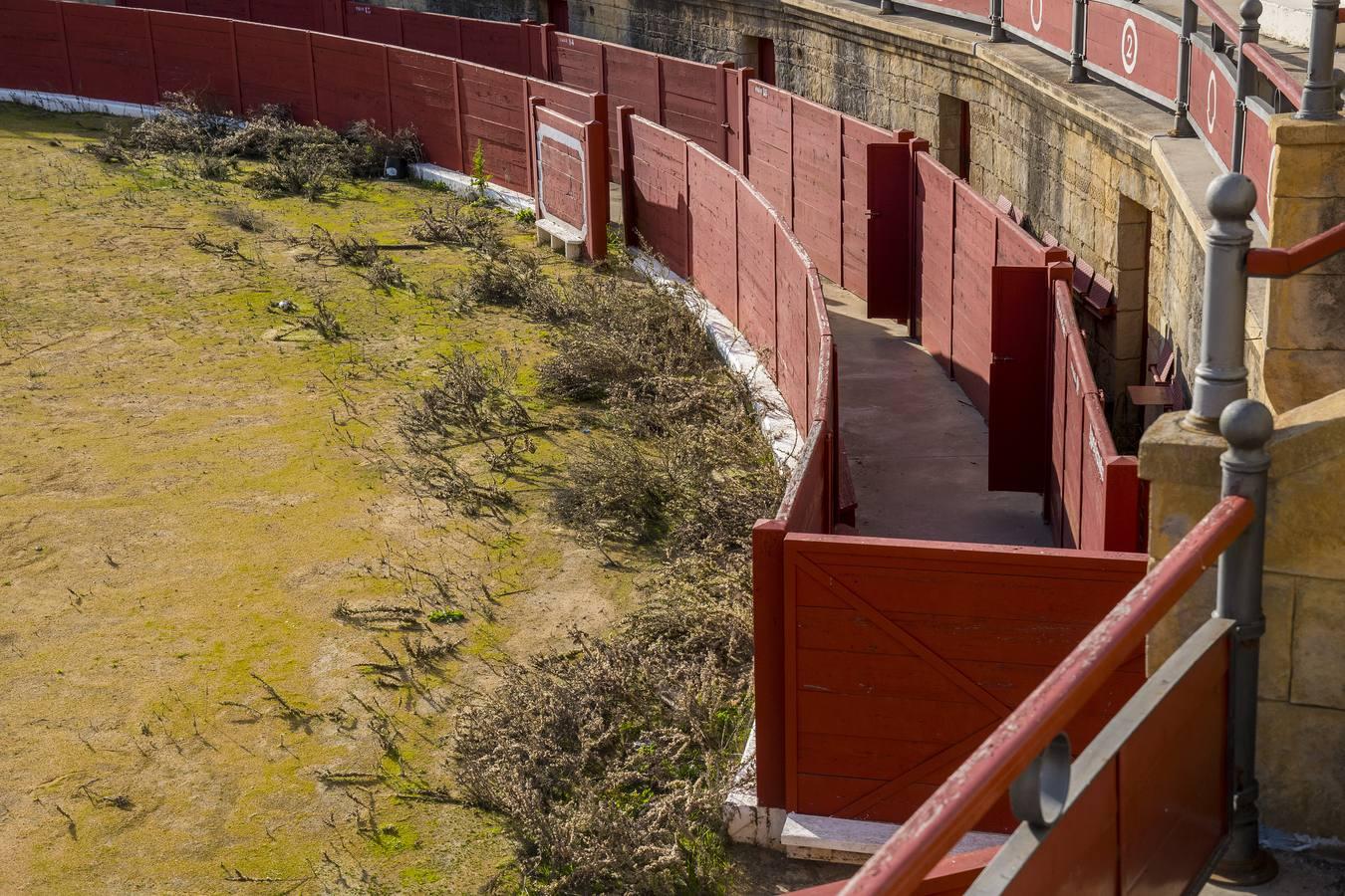 En imágenes, el expolio y el vandalismo arruinan la plaza de toros de Espartinas