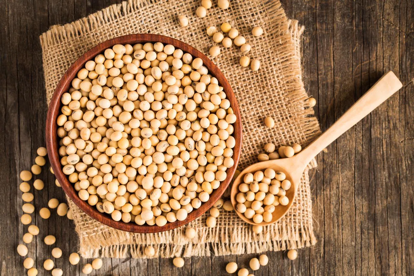 Soja. La soja en grano viene ser la fuente más rica en proteínas vegetales, concretamente de 35,9 gramos por cada 100 gramos de este producto, según datos de la BEDCA.