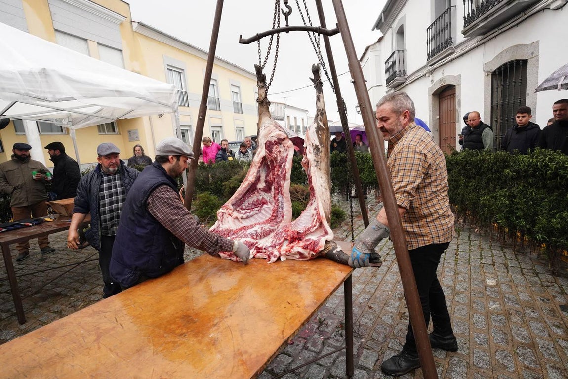 La Fiesta de la Matanza en Alcaracejos, en imágenes