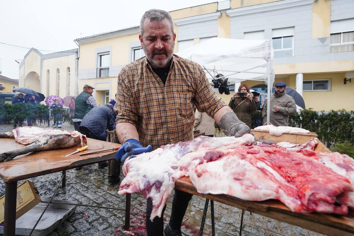 La Fiesta de la Matanza en Alcaracejos, en imágenes