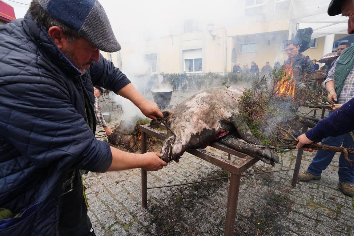 La Fiesta de la Matanza en Alcaracejos, en imágenes