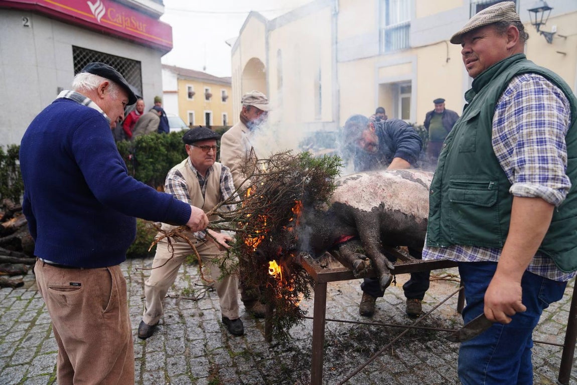 La Fiesta de la Matanza en Alcaracejos, en imágenes