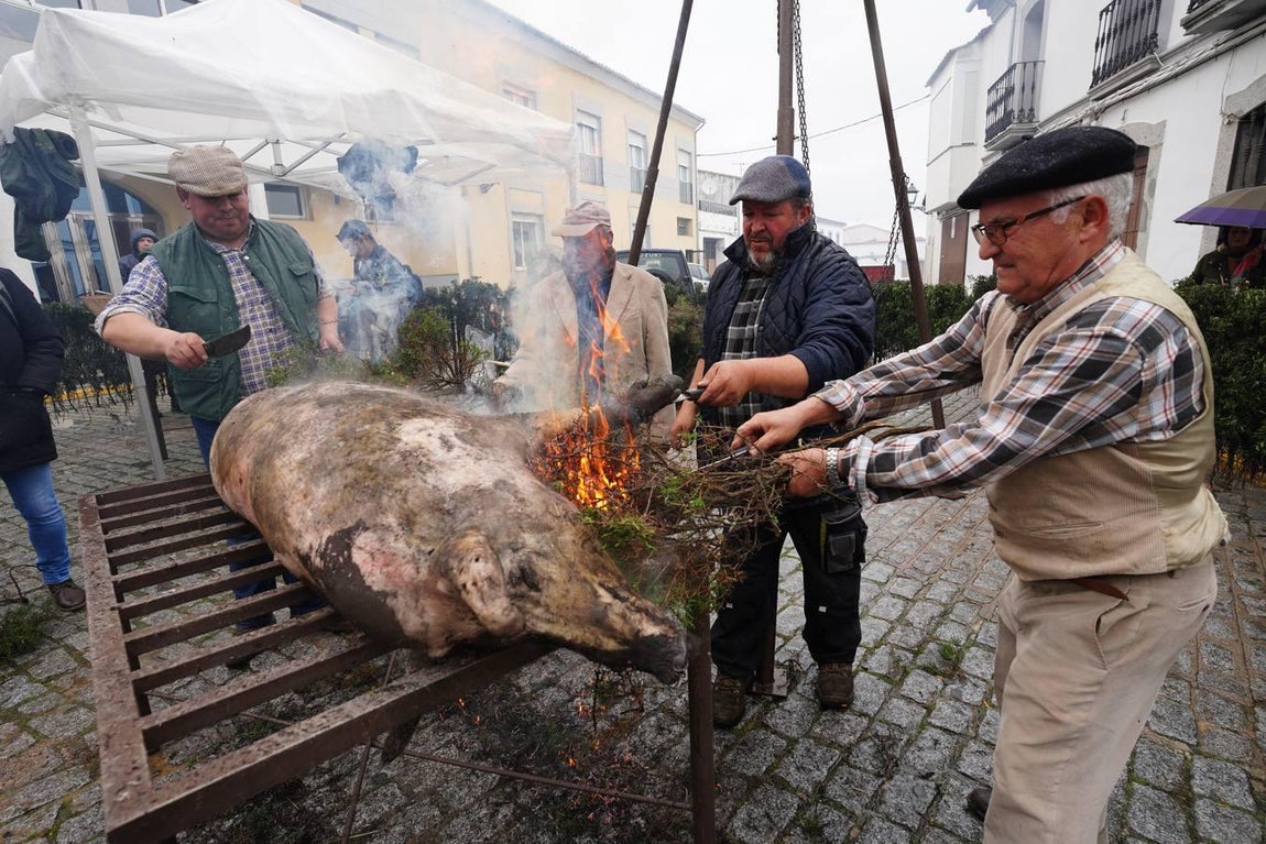 La Fiesta de la Matanza en Alcaracejos, en imágenes