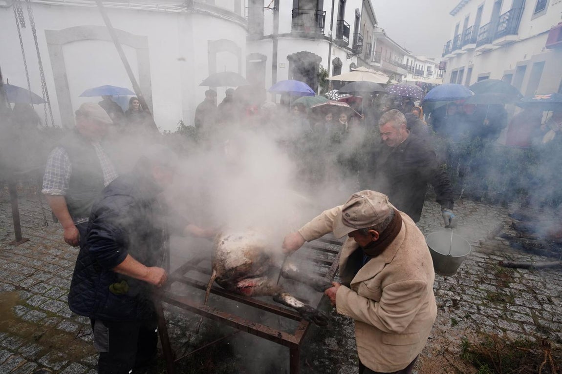 La Fiesta de la Matanza en Alcaracejos, en imágenes