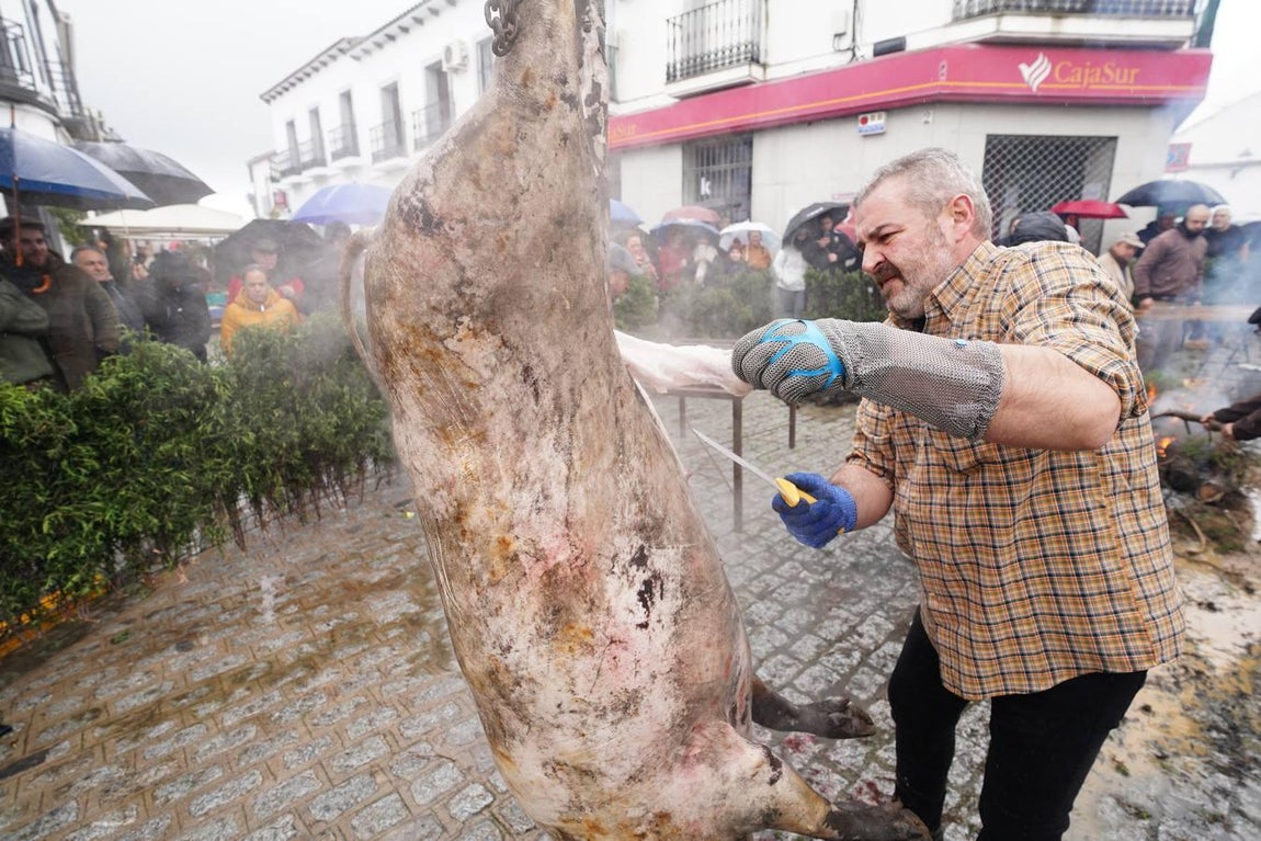 La Fiesta de la Matanza en Alcaracejos, en imágenes