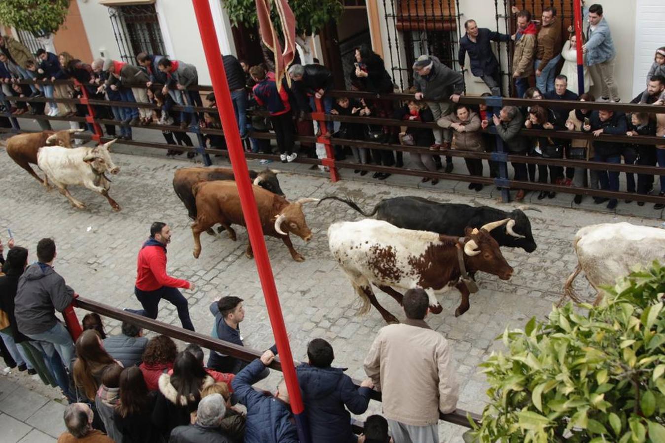 Manuel Ruiz de Lopera, protagonista del encierro de La Puebla del Río