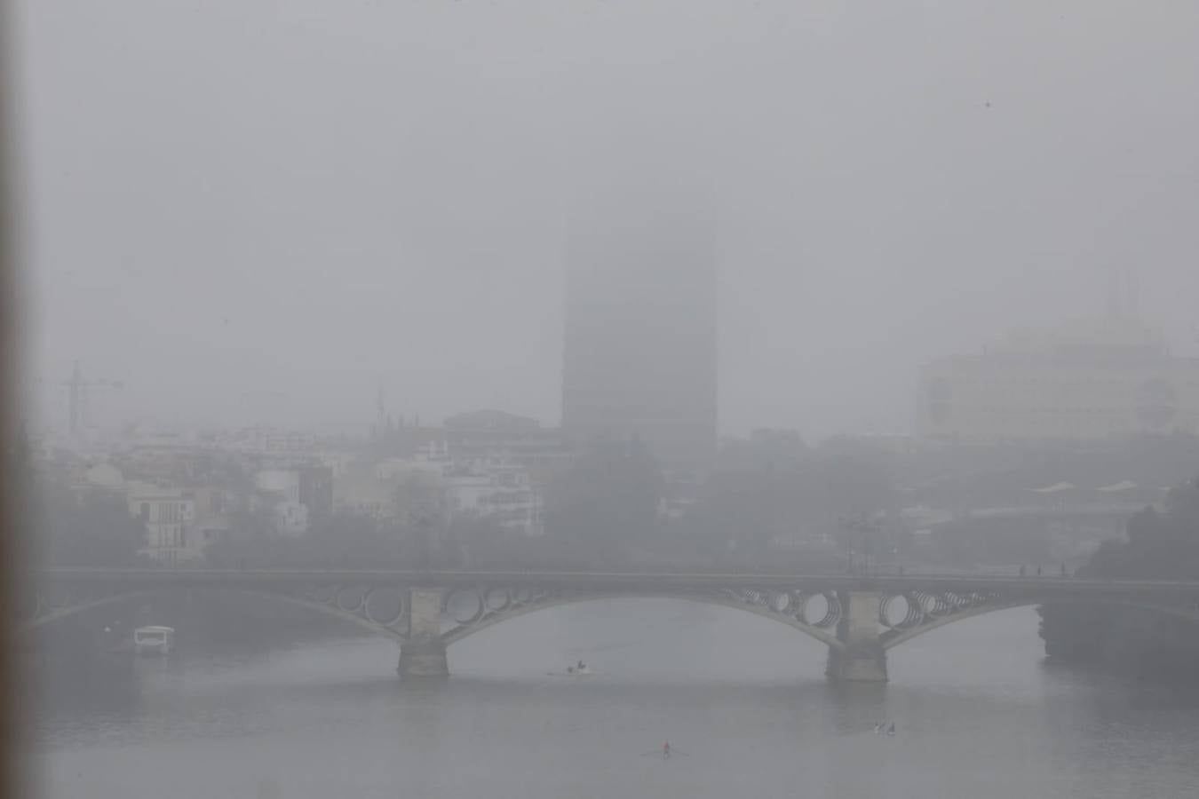 Sevilla ha despertado este lunes cubierta de una densa niebla