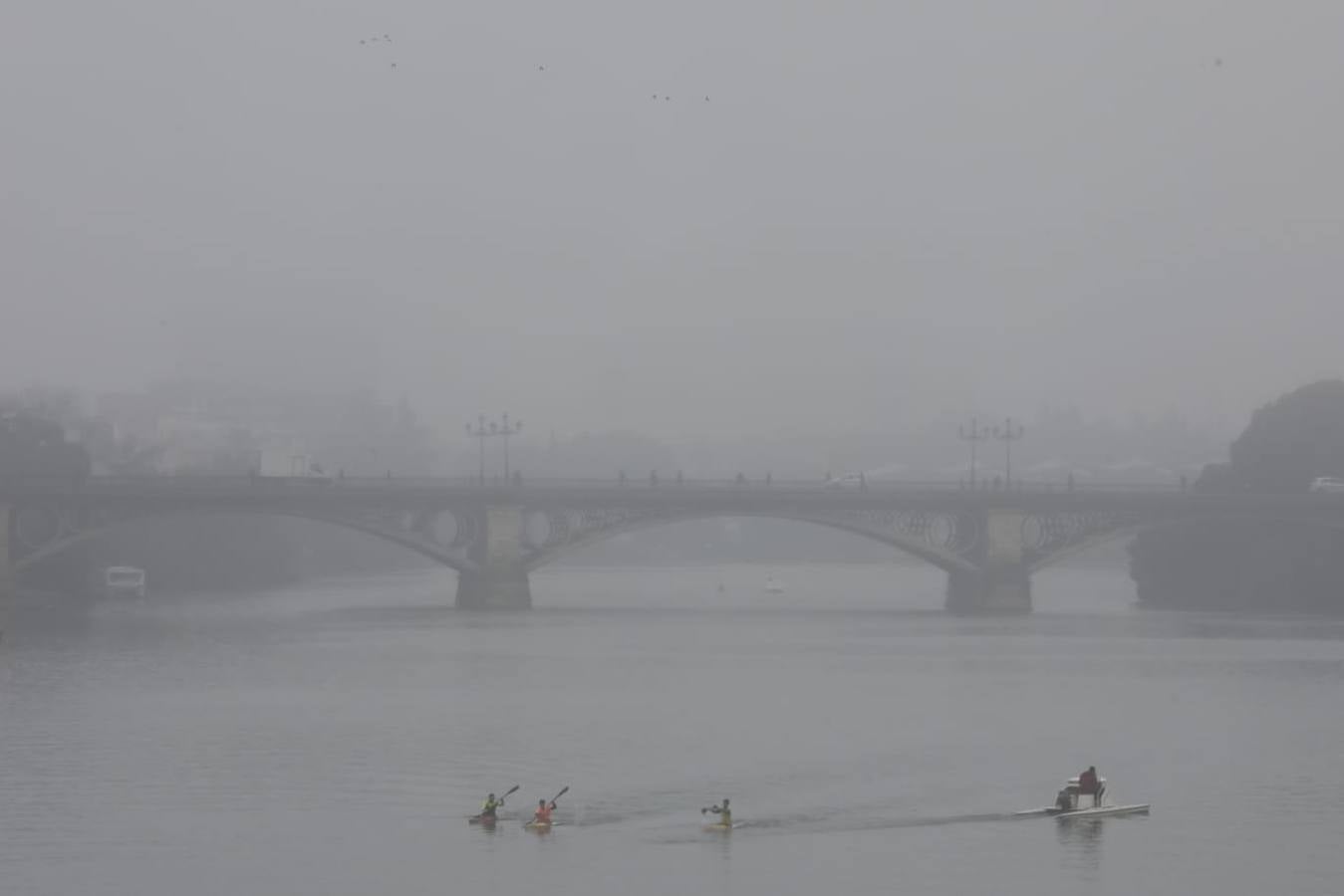 Sevilla ha despertado este lunes cubierta de una densa niebla