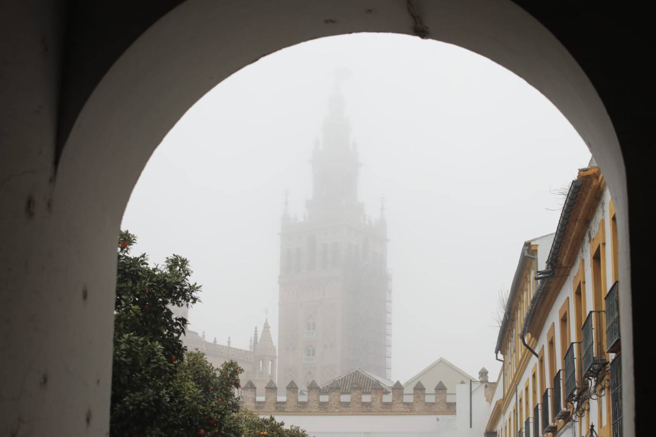 Sevilla ha despertado este lunes cubierta de una densa niebla