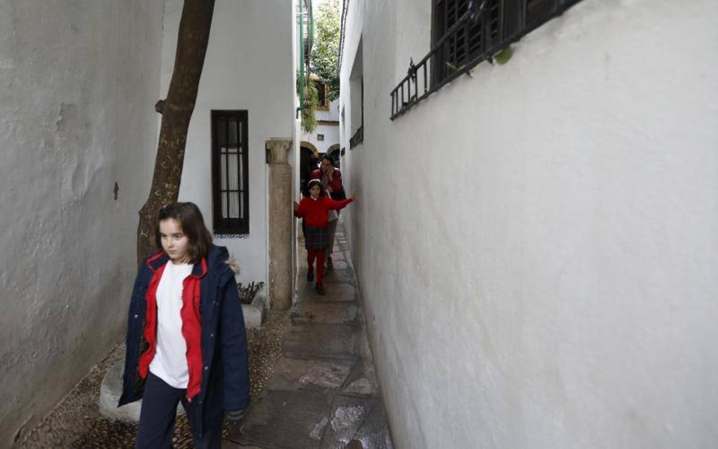 La calleja del Pañuelo de Córdoba, en imágenes