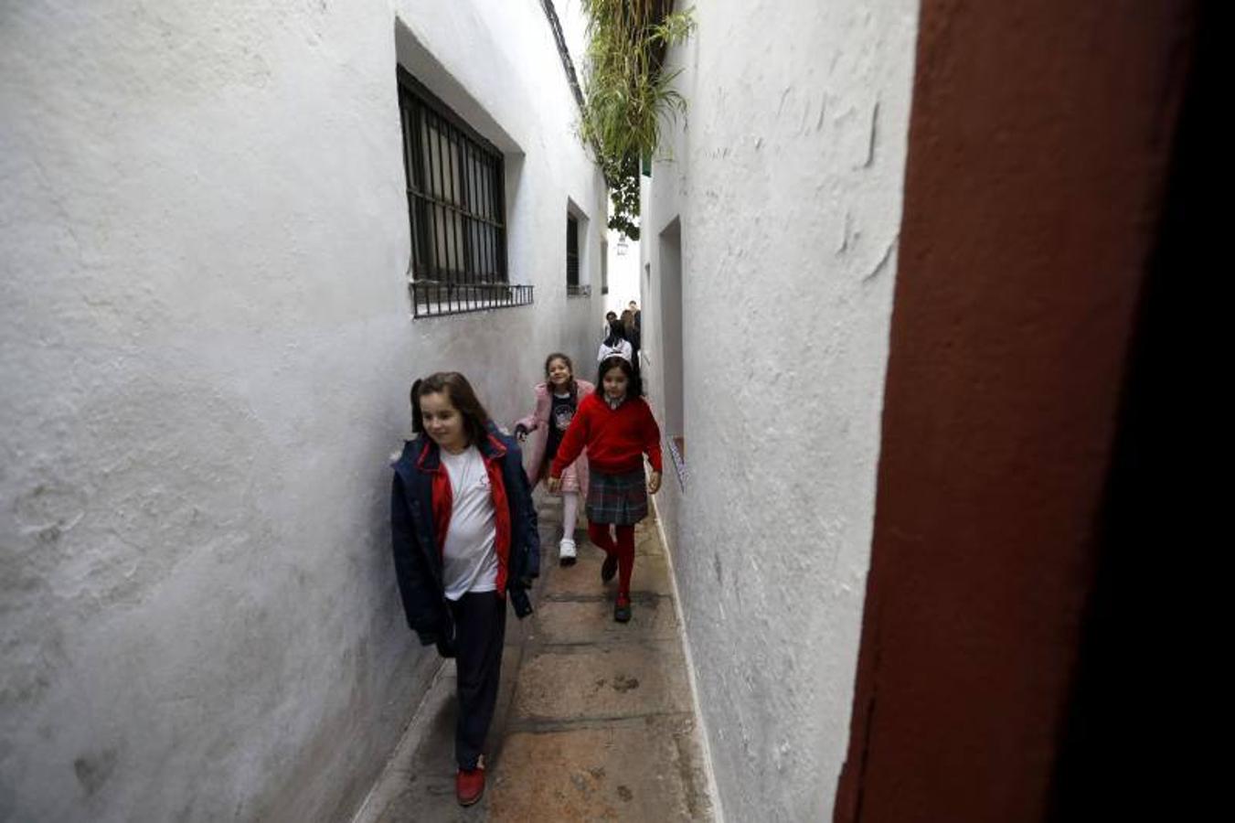 La calleja del Pañuelo de Córdoba, en imágenes