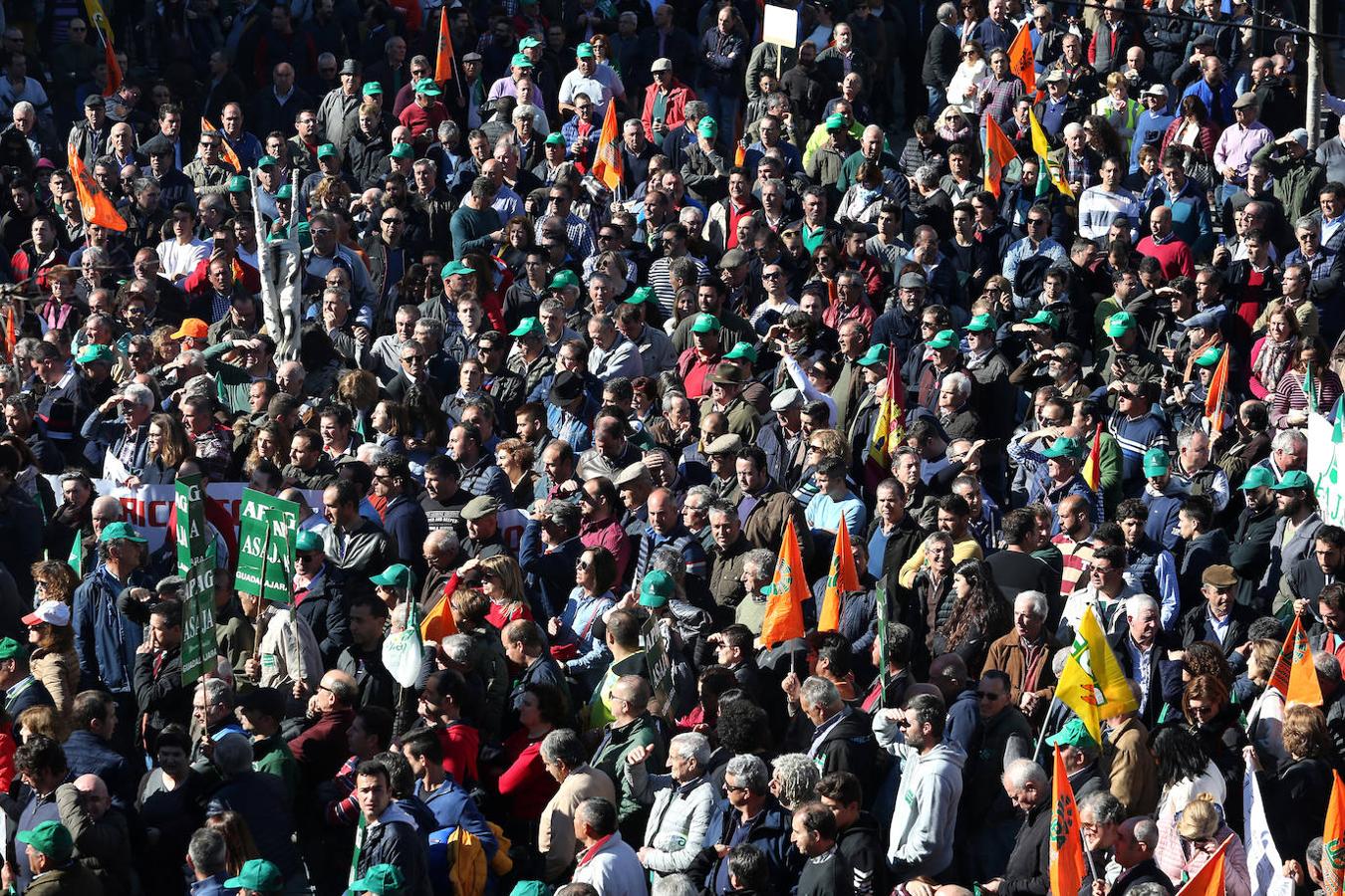 Las imágenes de la multitudinaria protesta de los agricultores y ganaderos en Toledo