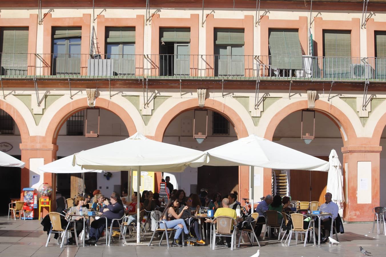 En imágenes, el calor primaveral en Córdoba en pleno febrero